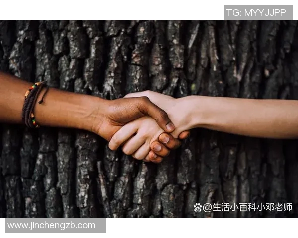 田宇翔的奋斗故事与成长历程揭示了年轻人的梦想与坚持精神 田宇翔的奋斗故事与成长历程揭示了年轻人的梦想与坚持精神