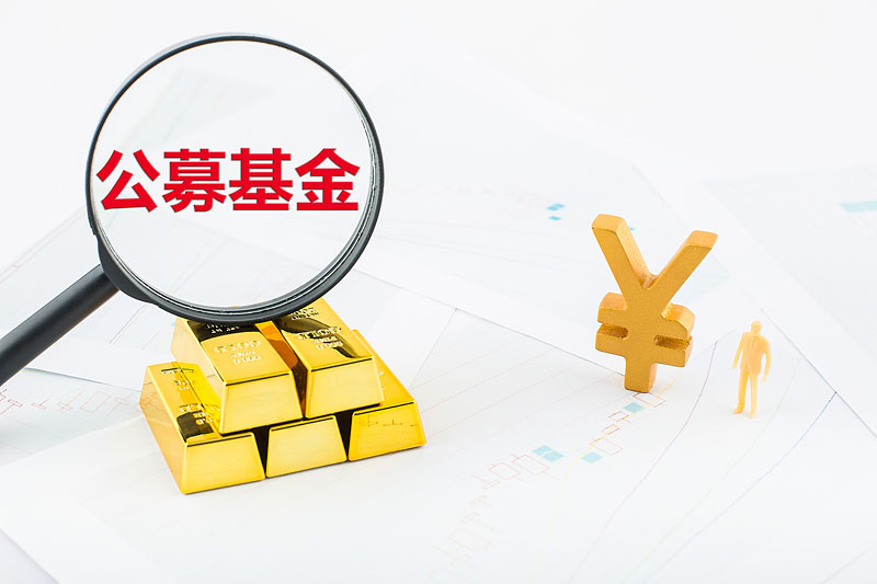 bd半岛体育证券投资是干什么的
